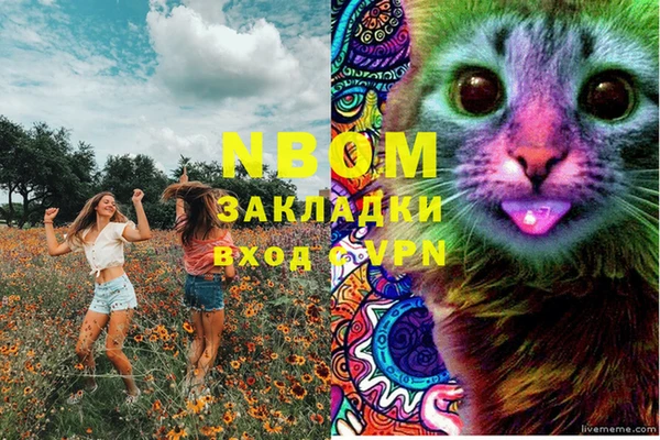 гидра Армянск