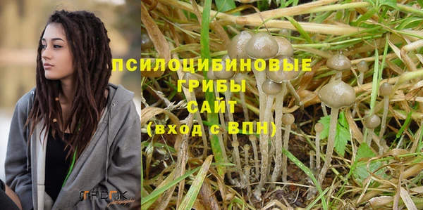 гидра Армянск