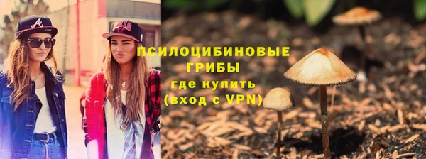 бутират Арсеньев