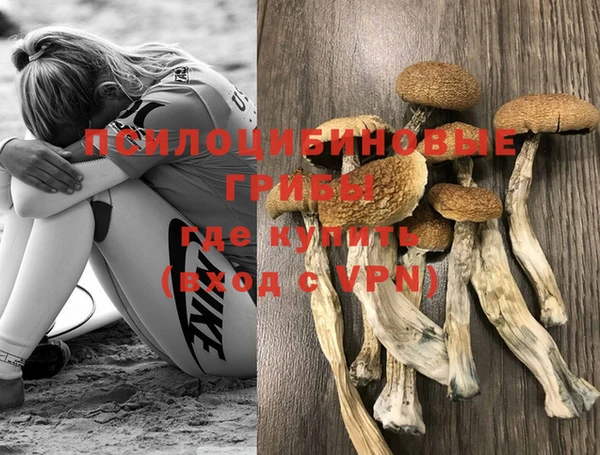 бутират Арсеньев