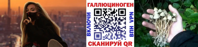 цена наркотик  Байкальск  кракен маркетплейс  Псилоцибиновые грибы GOLDEN TEACHER 
